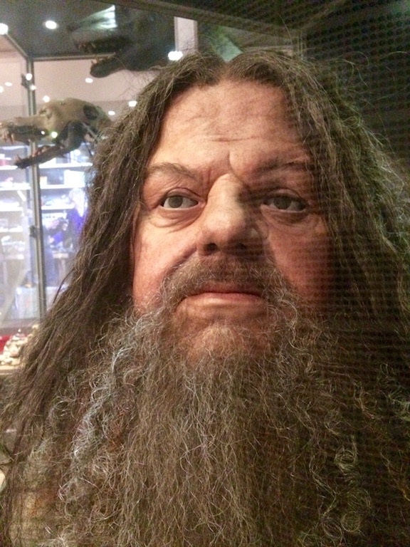 Anatomical Hagrid