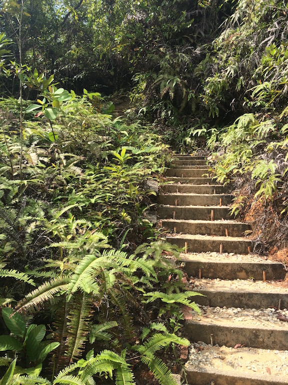 BotanicGardenStairs